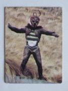 116 �쥫��ӡ����̥饤���������� No.116 �����å����²���