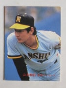 83082 ����ӡ��ץ���奫���� 83ǯ No.82 ��� �����¹� �¾��������