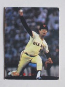 83171 ����ӡ��ץ���奫���� 83ǯ No.171 ��� ������ �¡��¾���