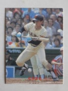 83216 ����ӡ��ץ���奫���� 83ǯ No.216 ��� ���ܶ��� ����