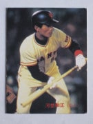 83242 ����ӡ��ץ���奫���� 83ǯ No.242 ��� ��Ǹ���� �¾���