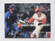 83304 ����ӡ��ץ���奫���� 83ǯ No.304 ���ܥϥ� ���롼�� ������