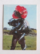 257 No.257 SR11  ߥ륿ס¾