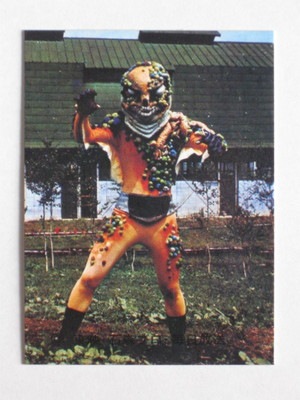 273 No.273 KR14 美品 | 旧カルビー仮面ライダーカード,No.200～299,No