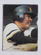 73247 ����ӡ��ץ���奫���� 73ǯ No.247 � ������� ������ �²���