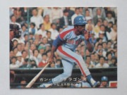 77007 ����ӡ��ץ���奫���� 77ǯ No.7 ���� �ס��ǡ��ӥ� ̾�Ų��� ����