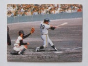 74207 ����ӡ��ץ���奫���� 74ǯ No.207 � ��¼���� �²���