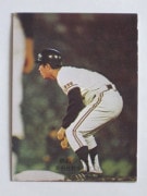 74353 ����ӡ��ץ���奫���� 74ǯ No.353 ��� ������ �²�������