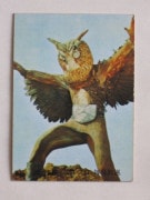 113 �쥫��ӡ����̥饤���������� No.113 TR6  �¡��¾���