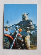 108 �쥫��ӡ����̥饤���������� No.108 T  ����