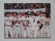 77046 ����ӡ��ץ���奫���� 77ǯ No.46 ��� ���缣 756���ý� �¾��������