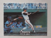 7738 ����ӡ��ץ���奫���� 77ǯ No.38 ��� ĥ�ܷ� ̾���� �¾���