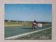 516 No.516 KR21 ¡¾