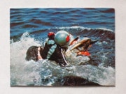 204 쥫ӡ̥饤 No.204 TR8  