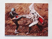 209 쥫ӡ̥饤 No.209 KR8  