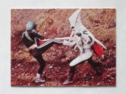 209 쥫ӡ̥饤 No.209 TR8  