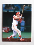 89166 ����ӡ��ץ���奫���� 1989ǯ No.166 ���ܥϥ� ������ ������