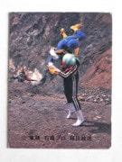 313 쥫ӡ̥饤 No.313 YR13  ¡¾