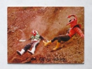 315 쥫ӡ̥饤 No.315 TR14  ²