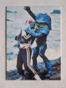 カルビー旧仮面ライダーカードNO.200〜299 100枚セット 旧カルビー仮面ライダーカード,No.200~299,No.240~249