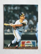 83573 ����ӡ��ץ���奫���� 1983ǯ No.573 ��� ƣ��ʿ ����