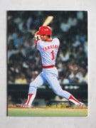 83599 ����ӡ��ץ���奫���� 1983ǯ No.599 ���� ����δ¤ �¾��������