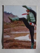 097 �쥫��ӡ����̥饤���������� No.97 ��ī������