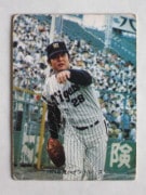 74031 ����ӡ��ץ���奫���� 1974ǯ No.31 ��� ����˭ �²���