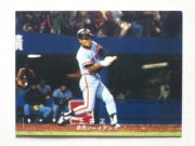 78173 ӡץ奫 1978ǯ  ڰ 