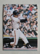 78178 ӡץ奫 1978ǯ   ¾