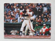 78184 ӡץ奫 1978ǯ  ķ ²