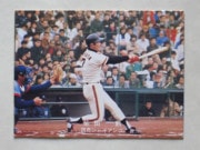 78186 ӡץ奫 1978ǯ  ķ ¡¾