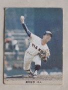 73161 ����ӡ��ץ���奫���� 1973ǯ No.161 ��� ���⹱�� ����