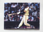 81265 ����ӡ��ץ���奫���� 1981ǯ No.265 ��� ø������ �¾���