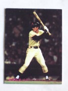 81271 ����ӡ��ץ���奫���� 1981ǯ No.271 ��� ���ܶ��� �¾���