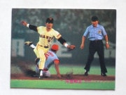 81381 ����ӡ��ץ���奫���� 1981ǯ No.381 ��� ��Ǹ���� ����