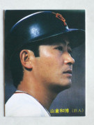 85034 ����ӡ��ץ���奫���� 1985ǯ No.34 ��� �������� �²�������