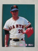 85132 ����ӡ��ץ���奫���� 1985ǯ No.132 ��� ������ ����