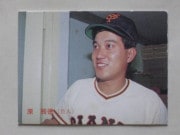 87265 ӡץ奫 1987ǯ No.265  ä 