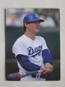 87318 ӡץ奫 1987ǯ No.318   ²