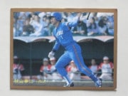 87333 ӡץ奫 1987ǯ No.333   ²