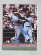 79031 ����ӡ��ץ���奫���� 1979ǯ ��� ��Ƿ����� 5��28�� �¾���