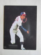 79049 ����ӡ��ץ���奫���� 1979ǯ ���ܥϥ� �ⶶľ�� 7��33�� ����