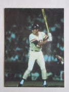 79055 ����ӡ��ץ���奫���� 1979ǯ ��� ���ܸ��� 10����� ����