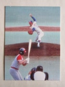 79061 ����ӡ��ץ���奫���� 1979ǯ ���ܥϥ� �ⶶľ�� 10����� �¾��������