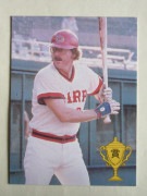 79065 ����ӡ��ץ���奫���� 1979ǯ ���� �ʡ��饤�ȥ� ������