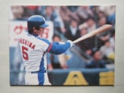 80014 ӡץ奫 1980ǯ No.14  繯 Ƚ A ¾