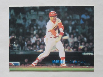 83229 ����ӡ��ץ���奫���� 1983ǯ No.229 ���ܥϥ� �𸶽�� ������