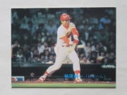 83229 ����ӡ��ץ���奫���� 1983ǯ No.229 ���ܥϥ� �𸶽�� ������