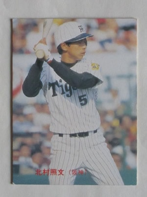 83234 ����ӡ��ץ���奫���� 1983ǯ No.234 ��� ��¼��ʸ �¡��¾���